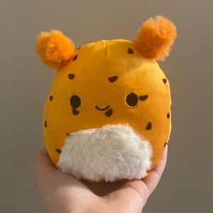 Tenzing Seabunny Squishmallow BNWT (no hang tag because of mystery bag)